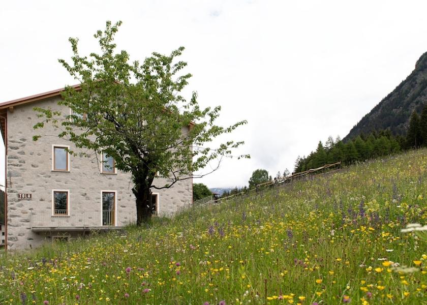 Lombardy Valdisotto Room
