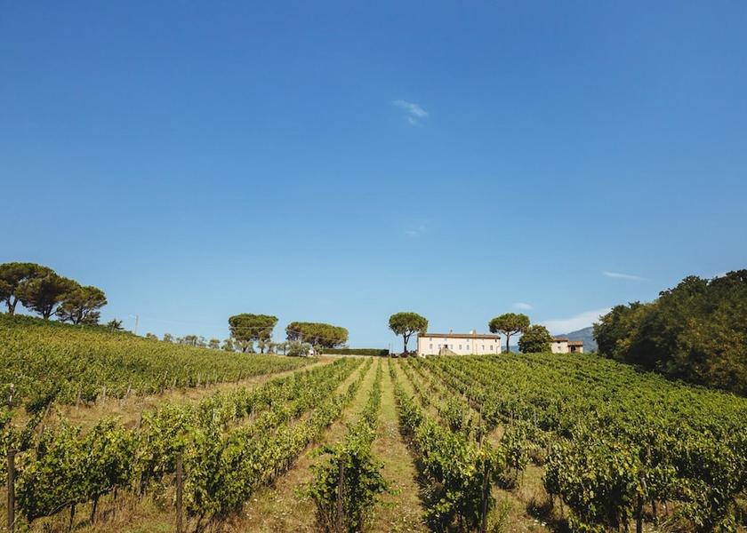 Tuscany Capannori Room