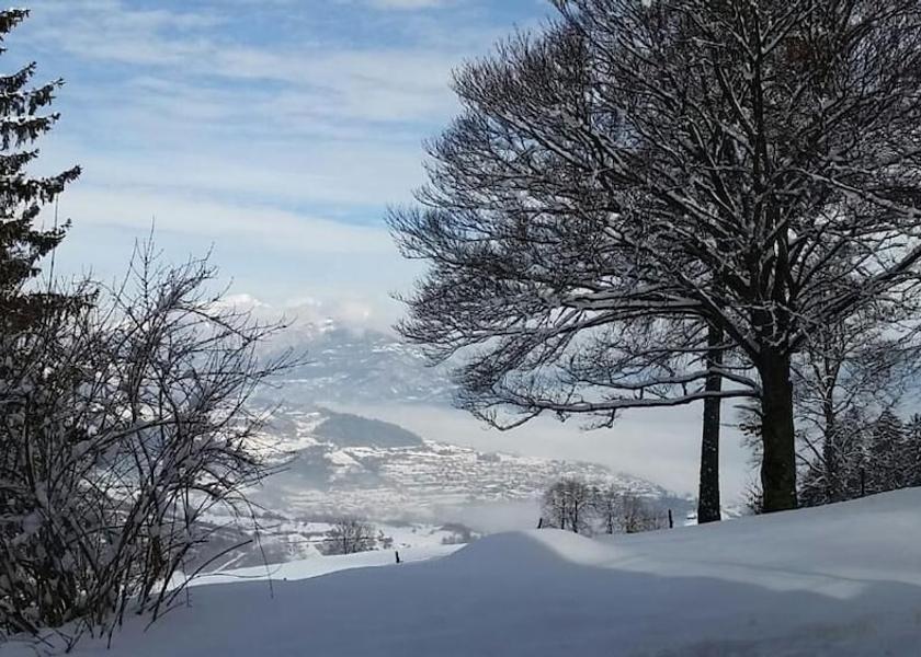 Trentino-Alto Adige Brentonico Property Grounds