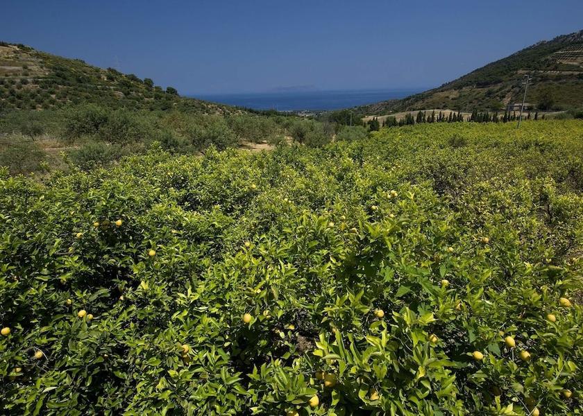 Sicily Patti View from Property