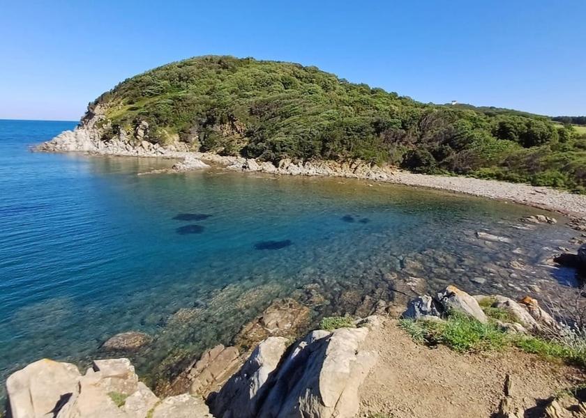Tuscany Campiglia Marittima Beach
