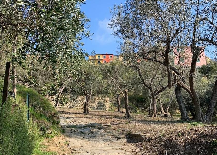 Liguria Riomaggiore Exterior Detail