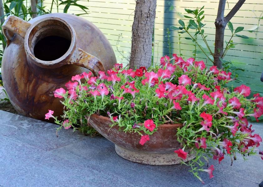 Abruzzo Tortoreto Exterior Detail