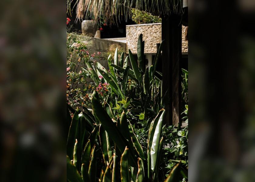 West Nusa Tenggara Gili Meno Garden View