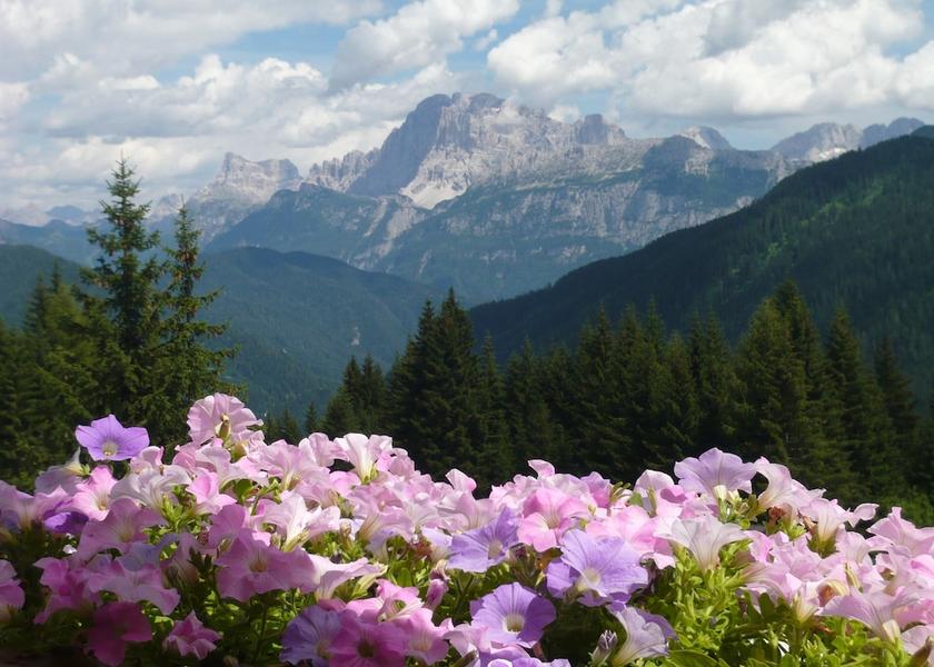 Veneto Falcade Exterior Detail