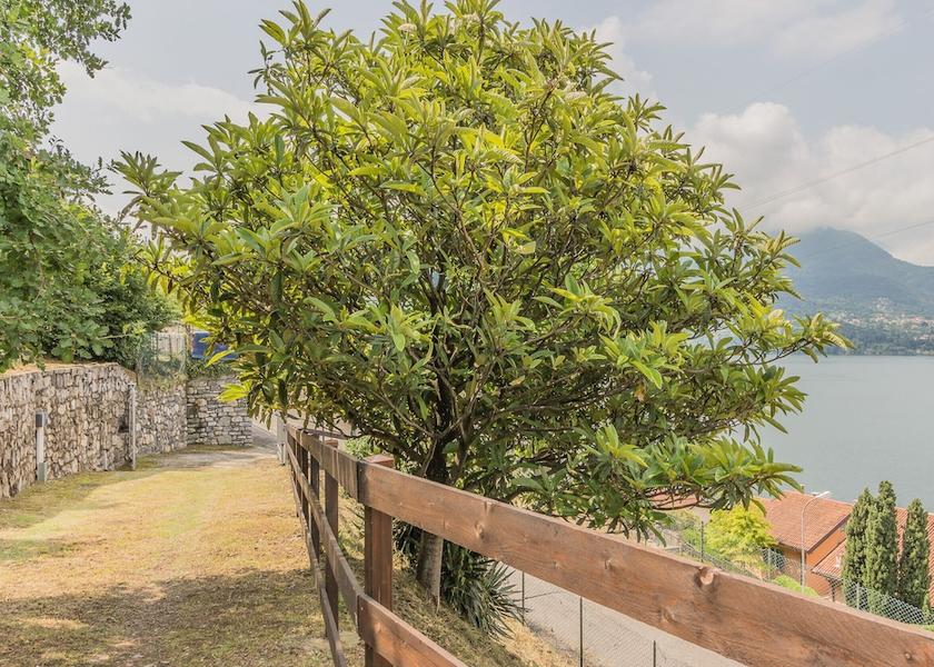 Lombardy Varenna Property Grounds