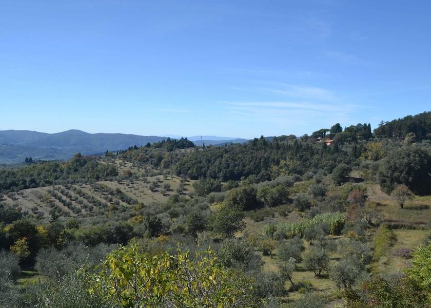 Tuscany Pelago View from Property