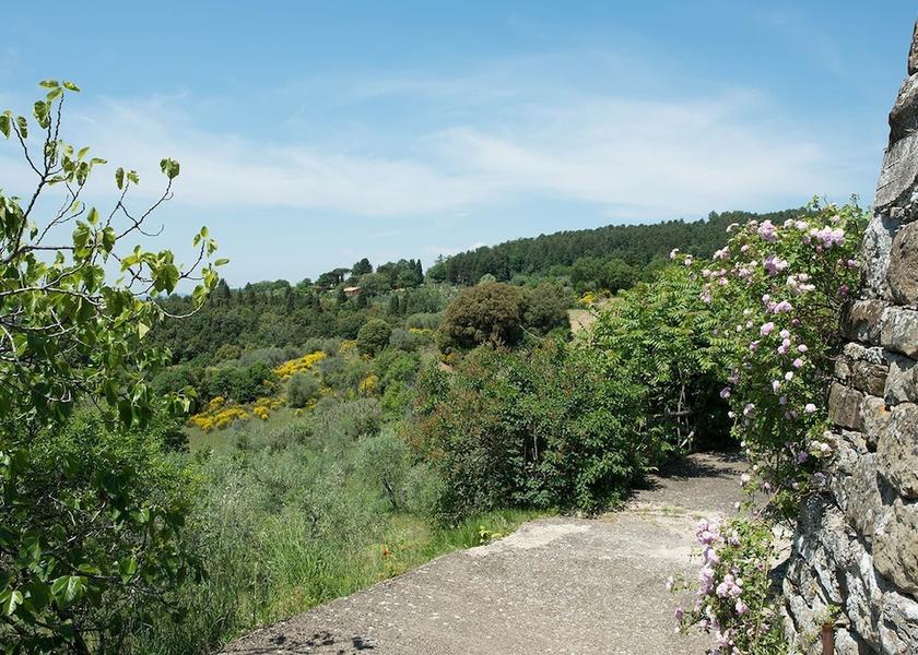 Tuscany Pelago View from Property