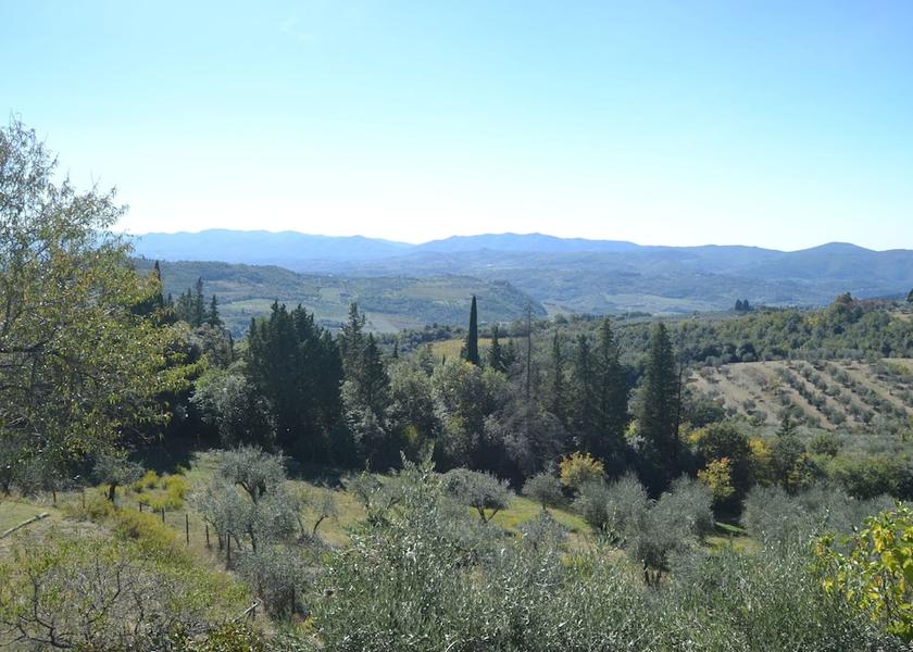 Tuscany Pelago View from Property