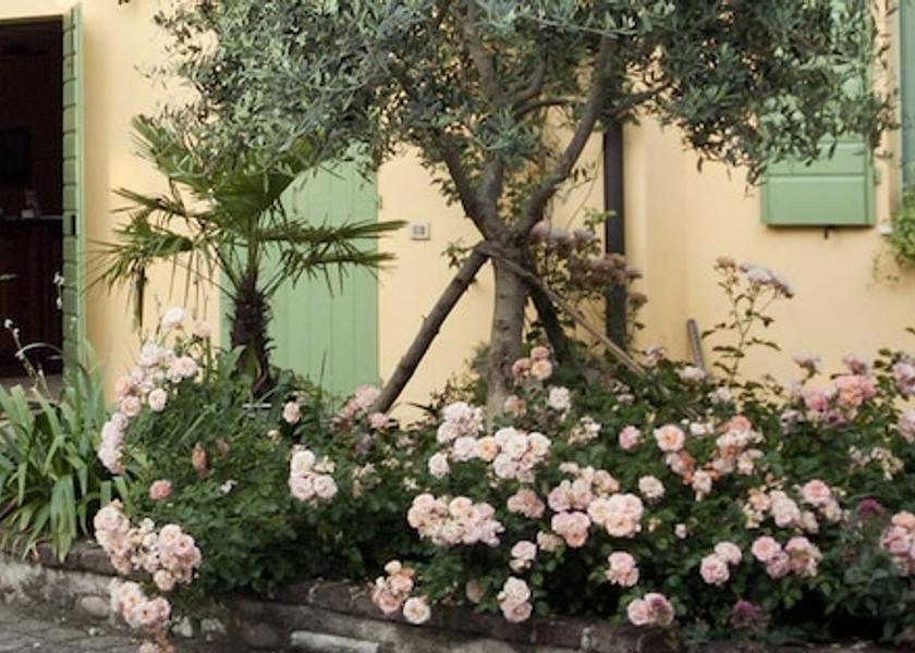 Lombardy Castiglione delle Stiviere Garden