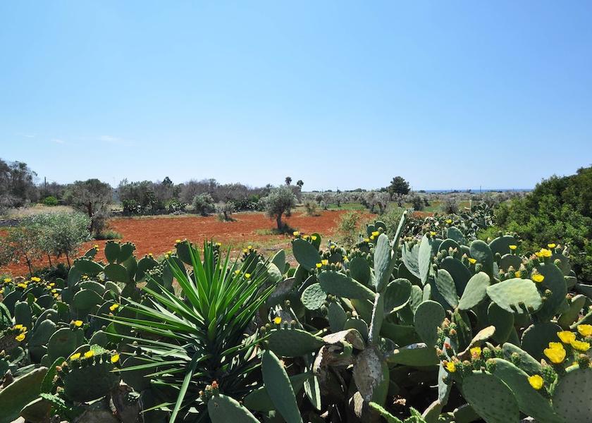 Puglia Racale View from Property