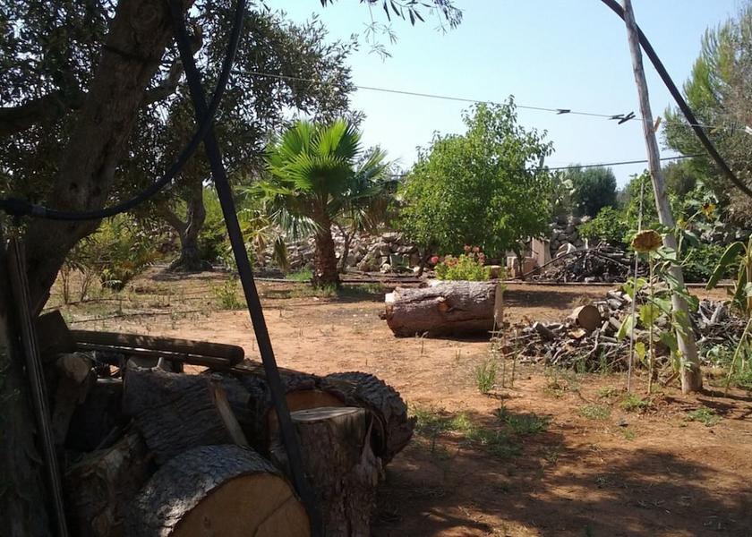 Puglia Racale Property Grounds