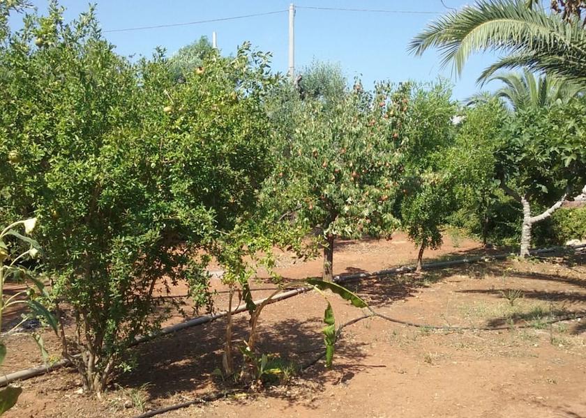 Puglia Racale Property Grounds