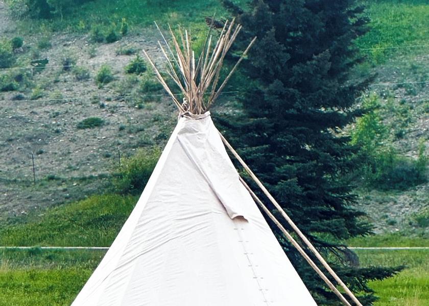 Montana Browning Room