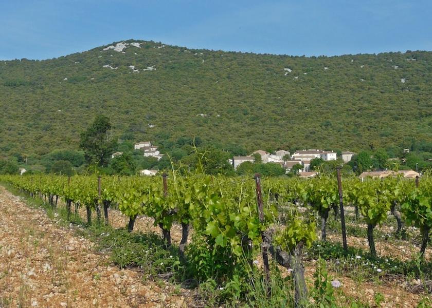 Occitanie Brissac Exterior Detail