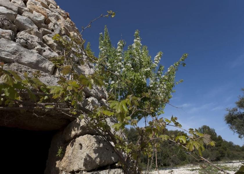 Puglia Morciano di Leuca Exterior Detail