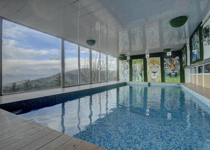 Himachal Pradesh Chail Pool