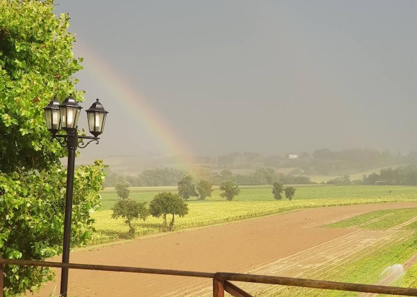 Umbria Monte Castello di Vibio View from Property