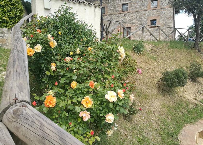 Umbria Monte Castello di Vibio Property Grounds