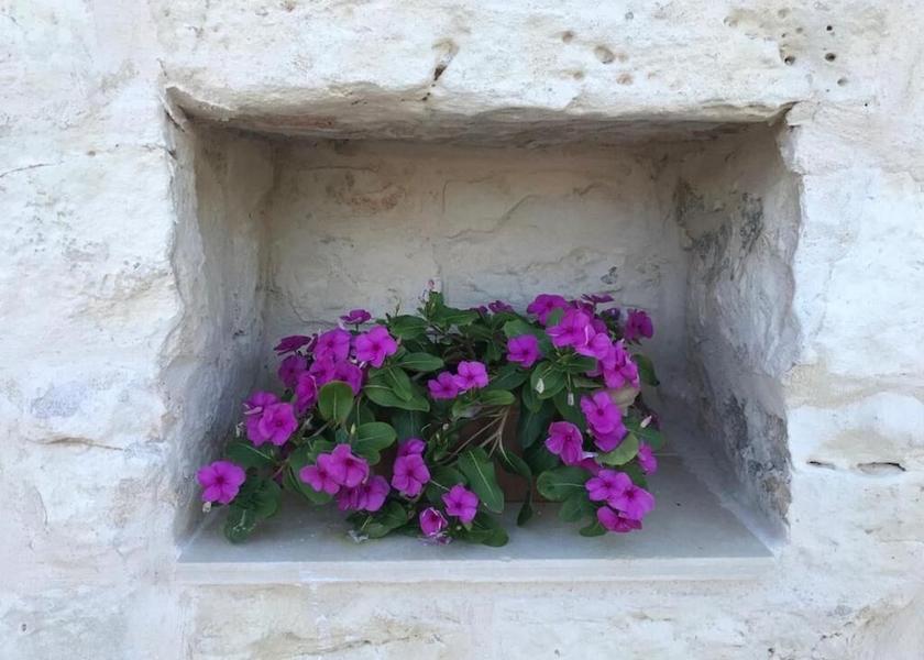 Puglia Ceglie Messapica Exterior Detail