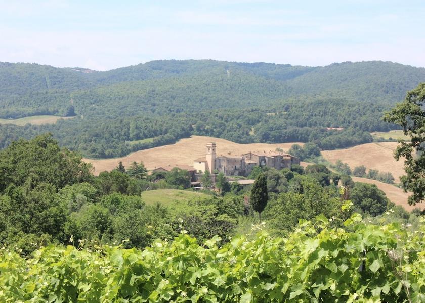 Tuscany Monteverdi Marittimo View from Property