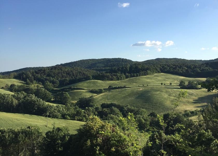 Tuscany Monteverdi Marittimo View from Property
