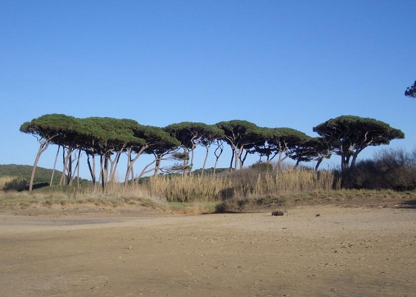 Tuscany Monteverdi Marittimo Exterior Detail
