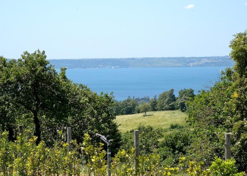 Lazio Trevignano Romano View from Property