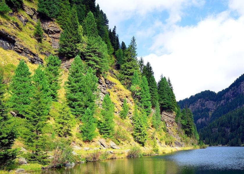 Trentino-Alto Adige Cavalese Exterior Detail