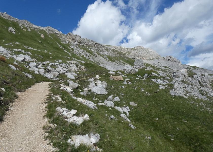 Trentino-Alto Adige Predazzo View from Property