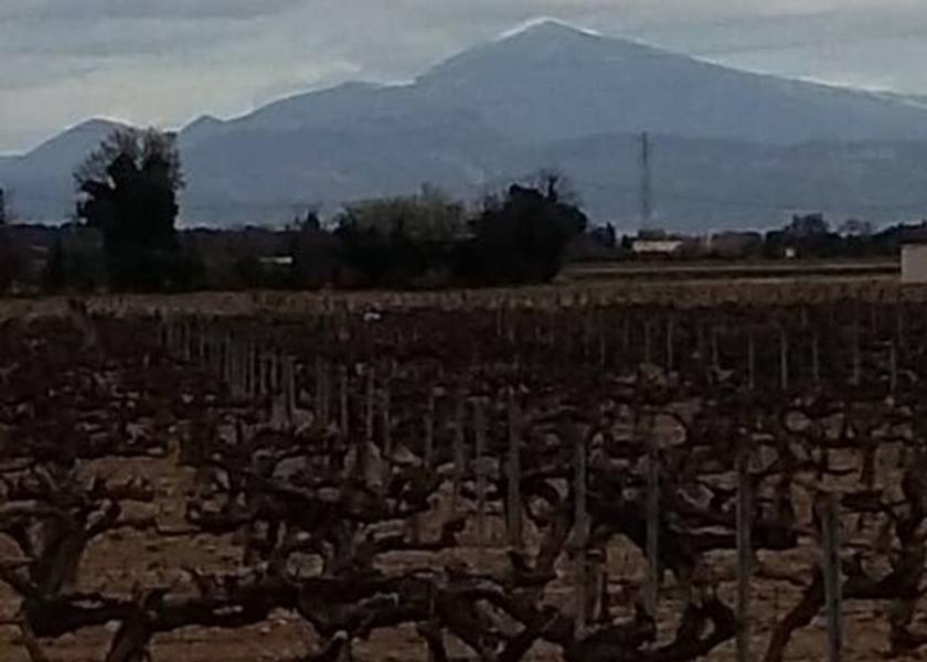 Provence - Alpes - Cote d'Azur Piolenc View from Property