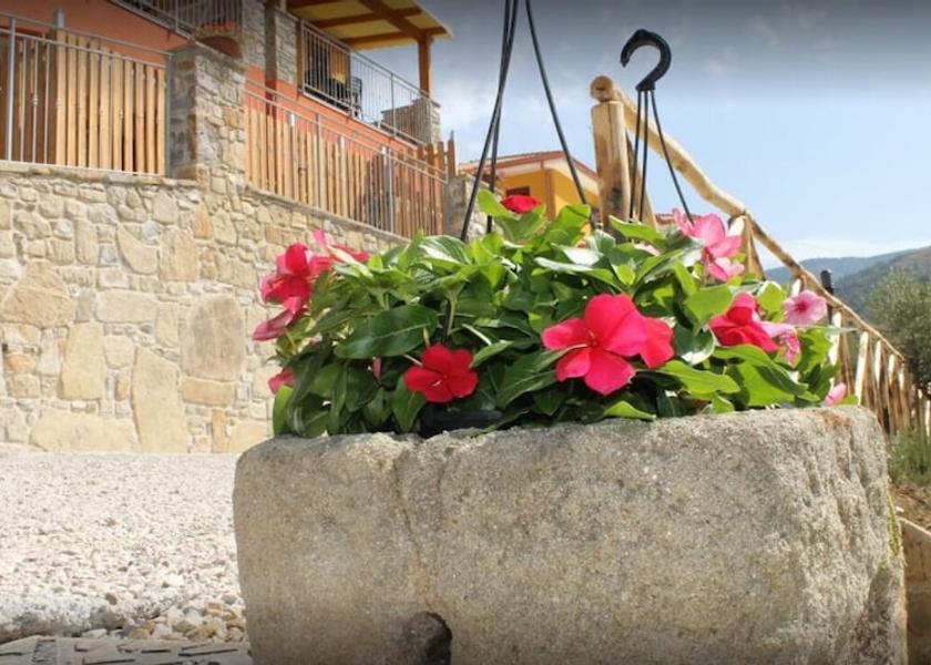 Campania Montecorice Exterior Detail