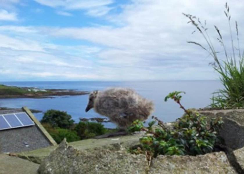 Scotland Anstruther Exterior Detail