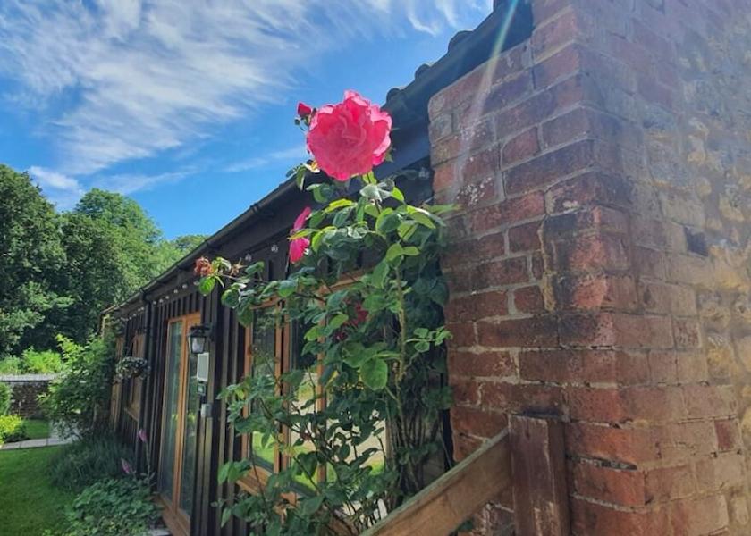 England Blandford Forum Room