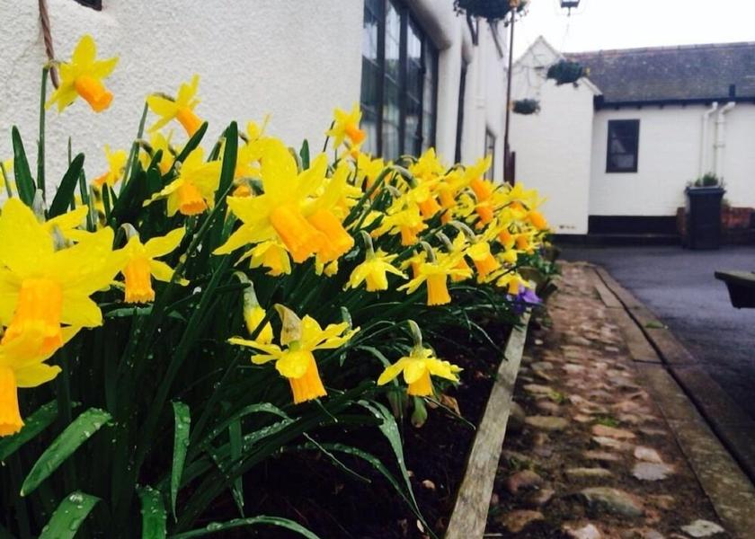 England Bridgnorth Exterior Detail