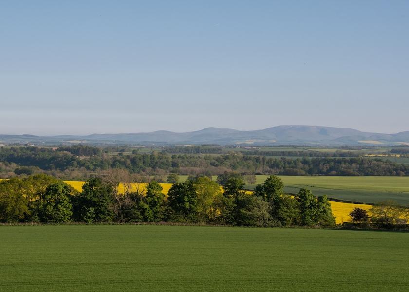 Scotland Duns Facade