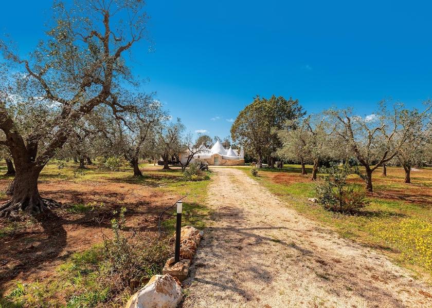 Puglia San Michele Salentino Exterior Detail