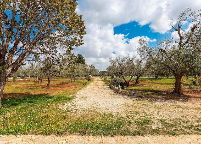 Puglia San Michele Salentino Land View from Property