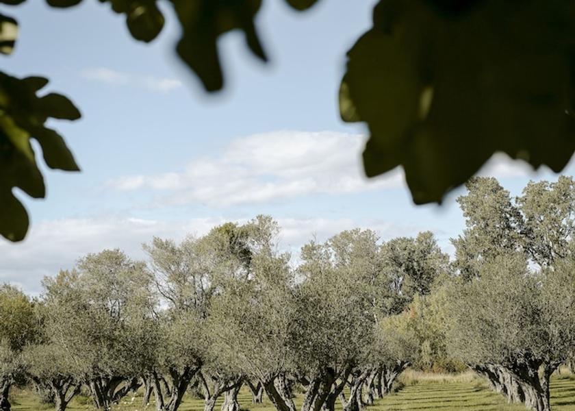 Provence - Alpes - Cote d'Azur Tarascon Exterior Detail