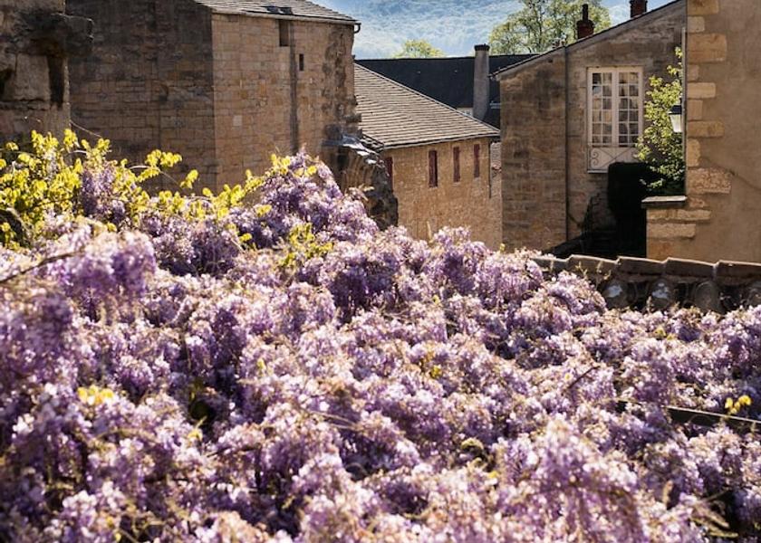 Bourgogne-Franche-Comte Cluny Exterior Detail