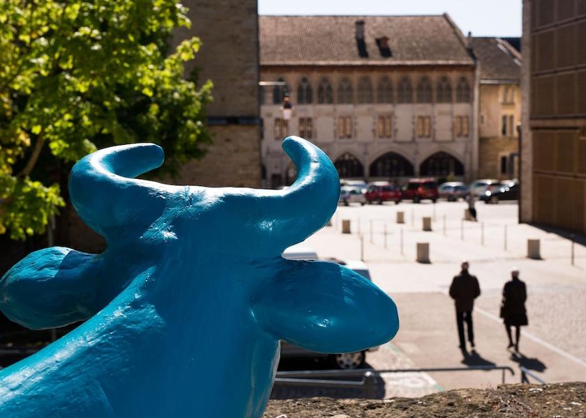 Bourgogne-Franche-Comte Cluny Exterior Detail