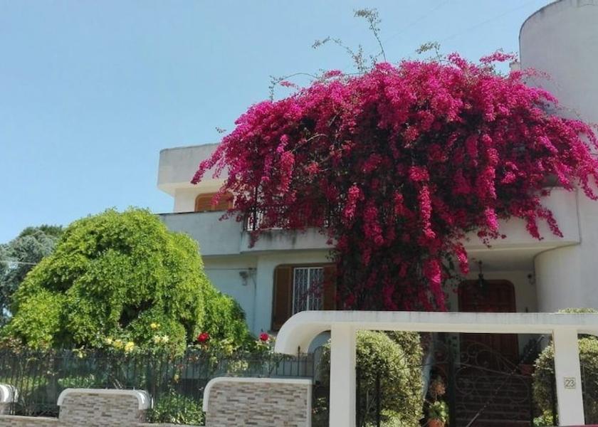 Puglia Trani Exterior Detail