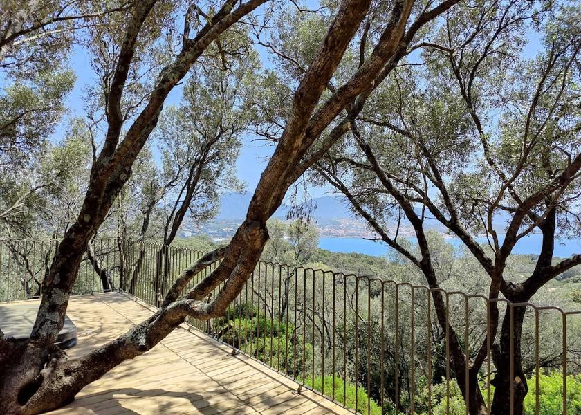 Corsica Olmeto Terrace