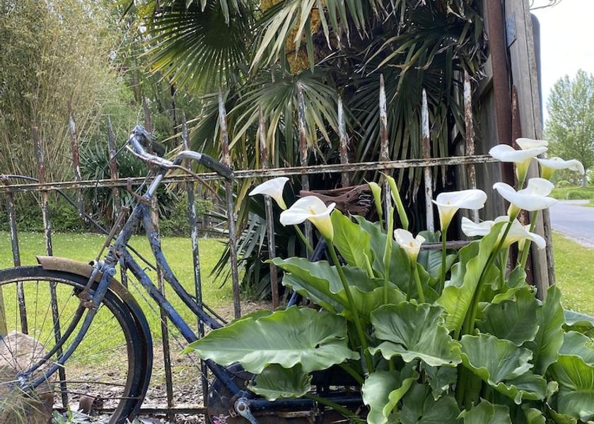 Brittany Roz-sur-Couesnon Exterior Detail