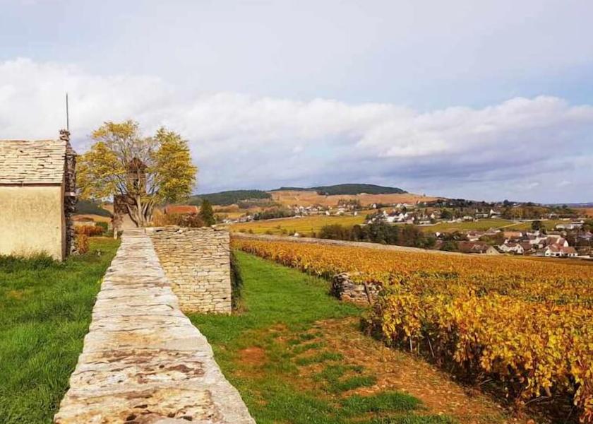 Bourgogne-Franche-Comte Meursault Exterior Detail