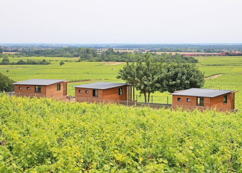 Bourgogne-Franche-Comte Meursault Property Grounds