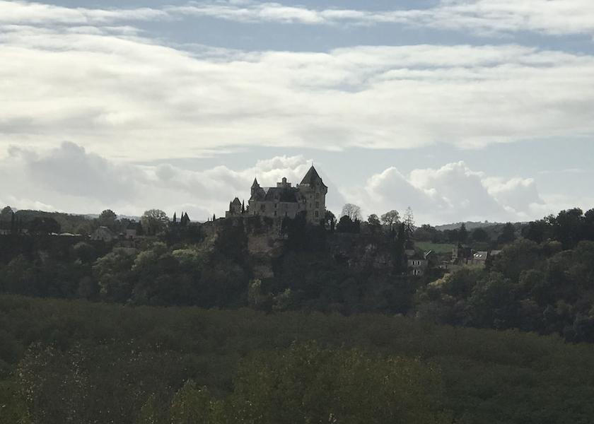 Nouvelle-Aquitaine Carsac-Aillac View from Property