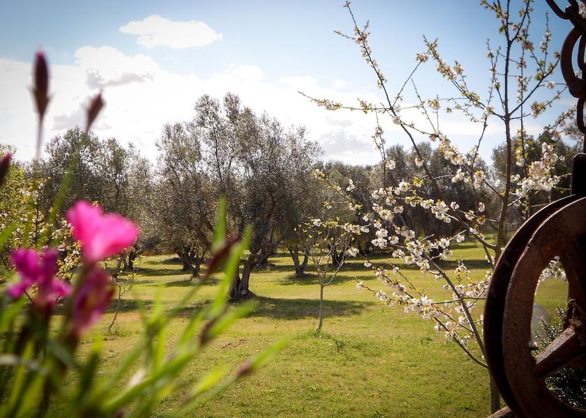 Lazio Tarquinia Exterior Detail