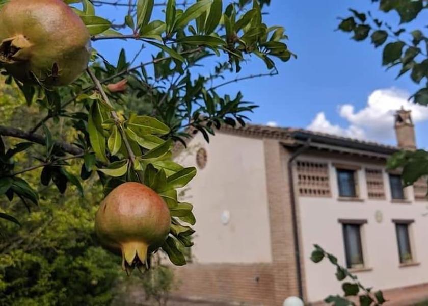 Umbria Magione Exterior Detail