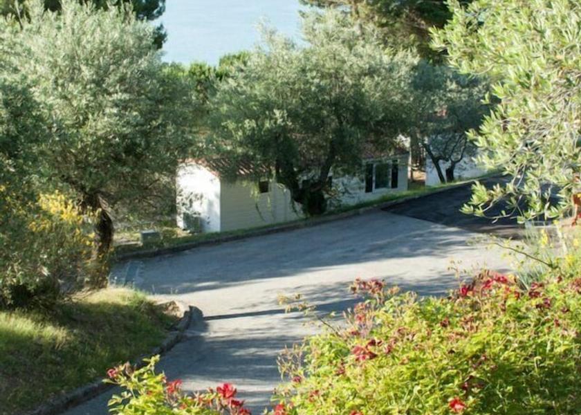 Umbria Magione Exterior Detail